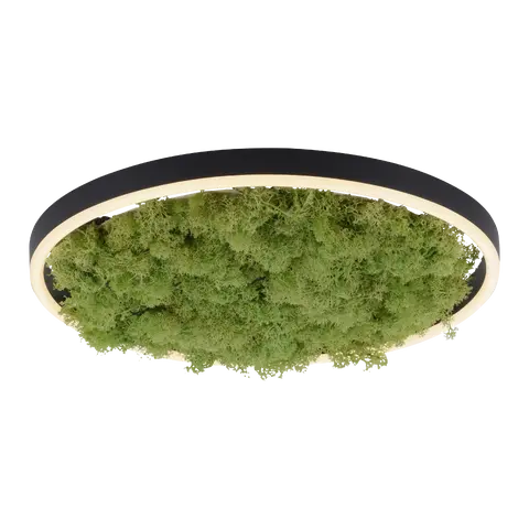 Deckenleuchte Green Ritus