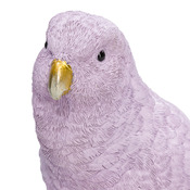 Vogel Ara