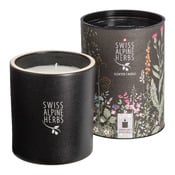 Duftkerze Alpine Scent