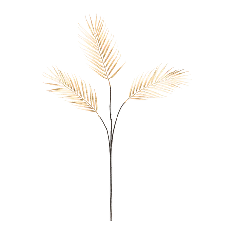 Dekozweig Exotica