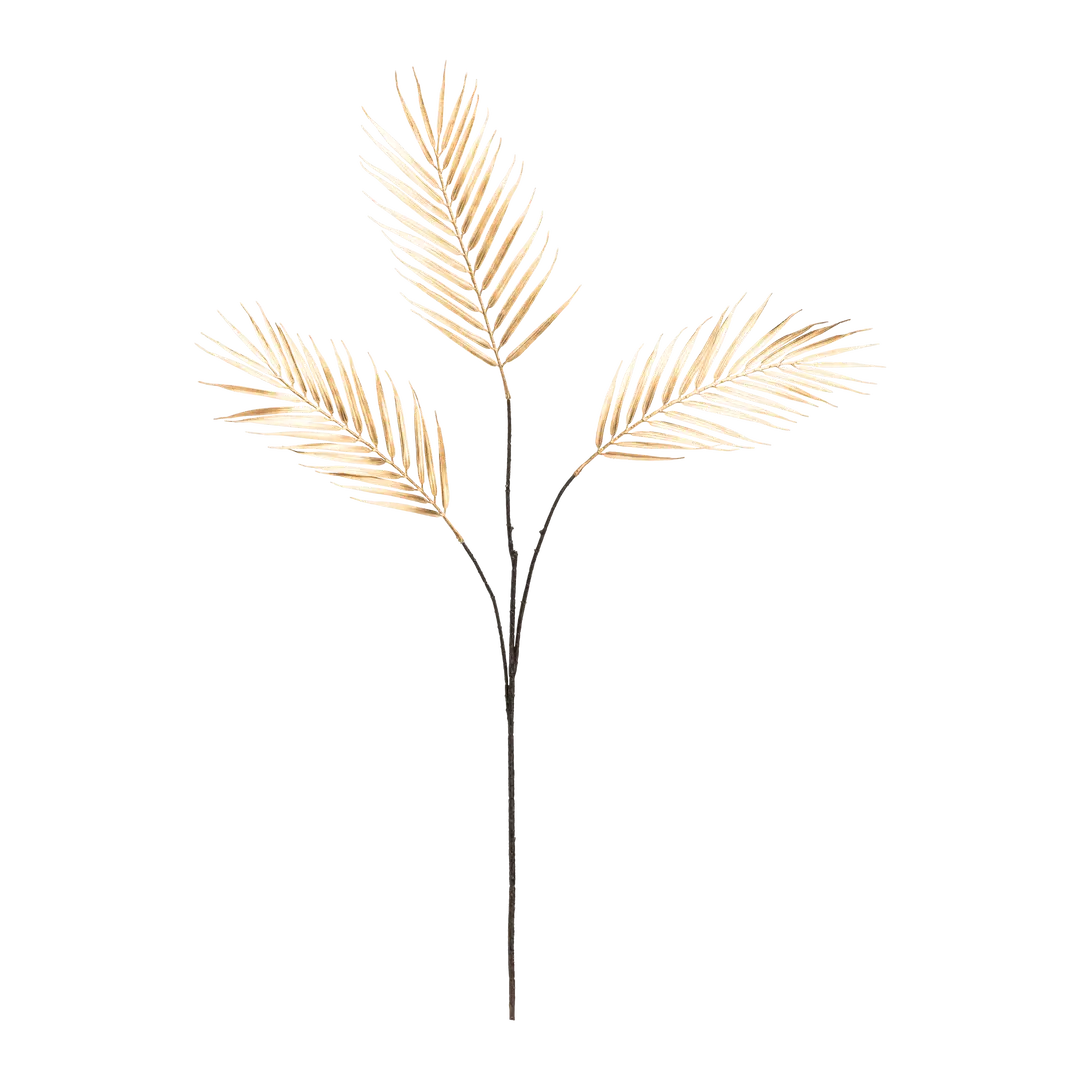 branche décorative Exotica