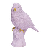 Vogel Ara