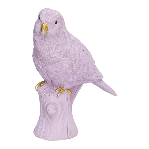 oiseau Ara