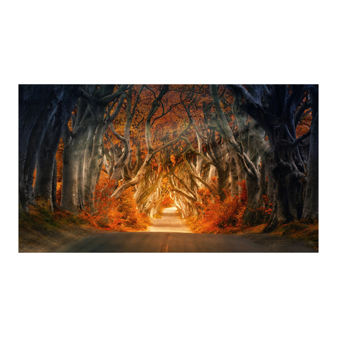 Leinwandbild Digital Art