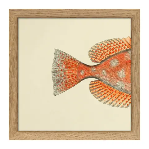 Quadro con cornice BOTANICAL