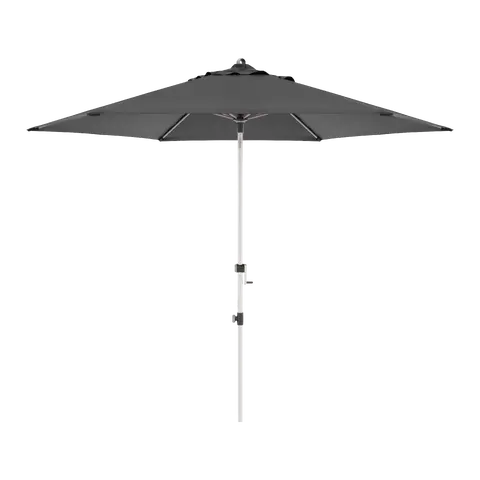 parasol Expert