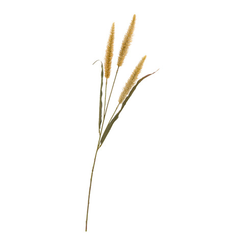 branche décorative DRIED-GRASS