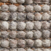 Wollteppich Tamula