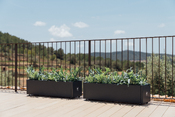 fioriera Metal Planter
