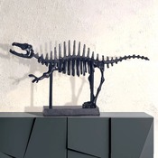 animali DESIGN