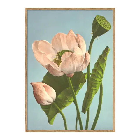 Quadro con cornice Ogawa
