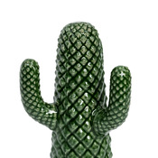 cactus decorativo Cacto
