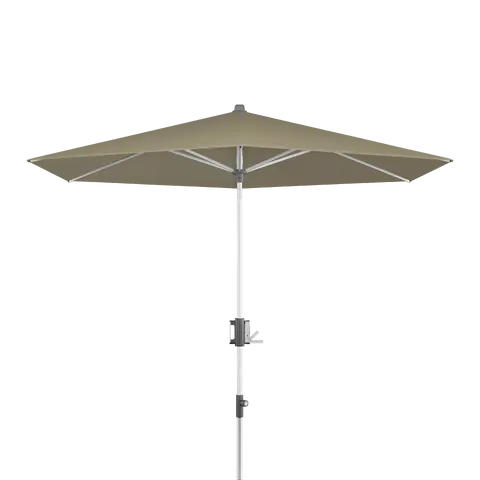 parasol Knirps Apoll