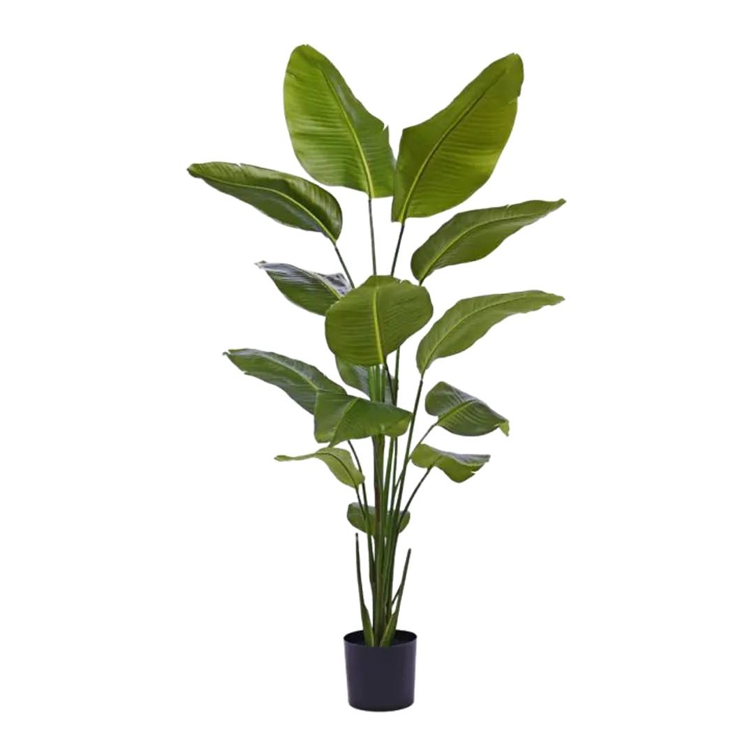 Kunstpflanze Strelitzia