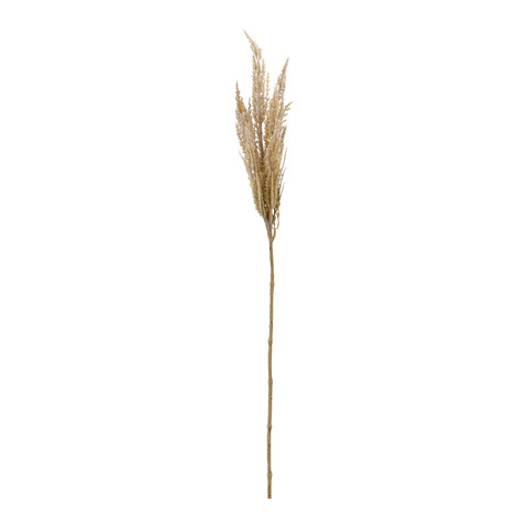 branche décorative DRIED-GRASS