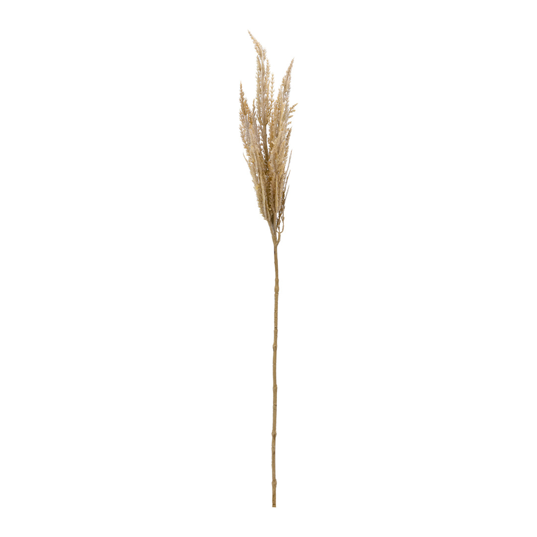 Dekozweig Dried-Grass