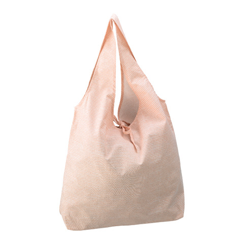 sac FRIDA