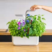 vaso per erbe Smart