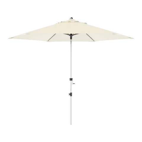 parasol Expert