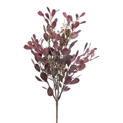 ramo decorativo Sedum