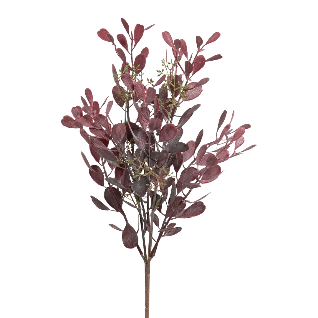 ramo decorativo Sedum