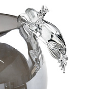 animaux frog