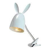spot Rabbit