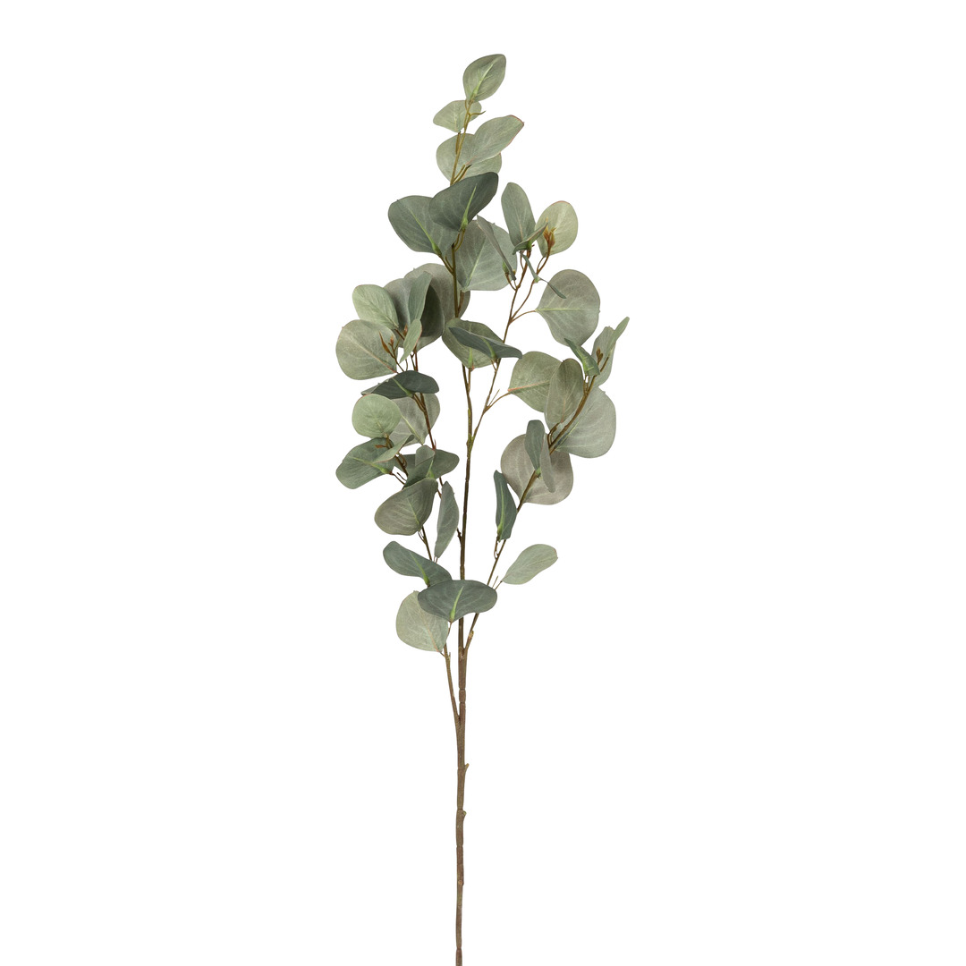ramo decorativo Eukalypa