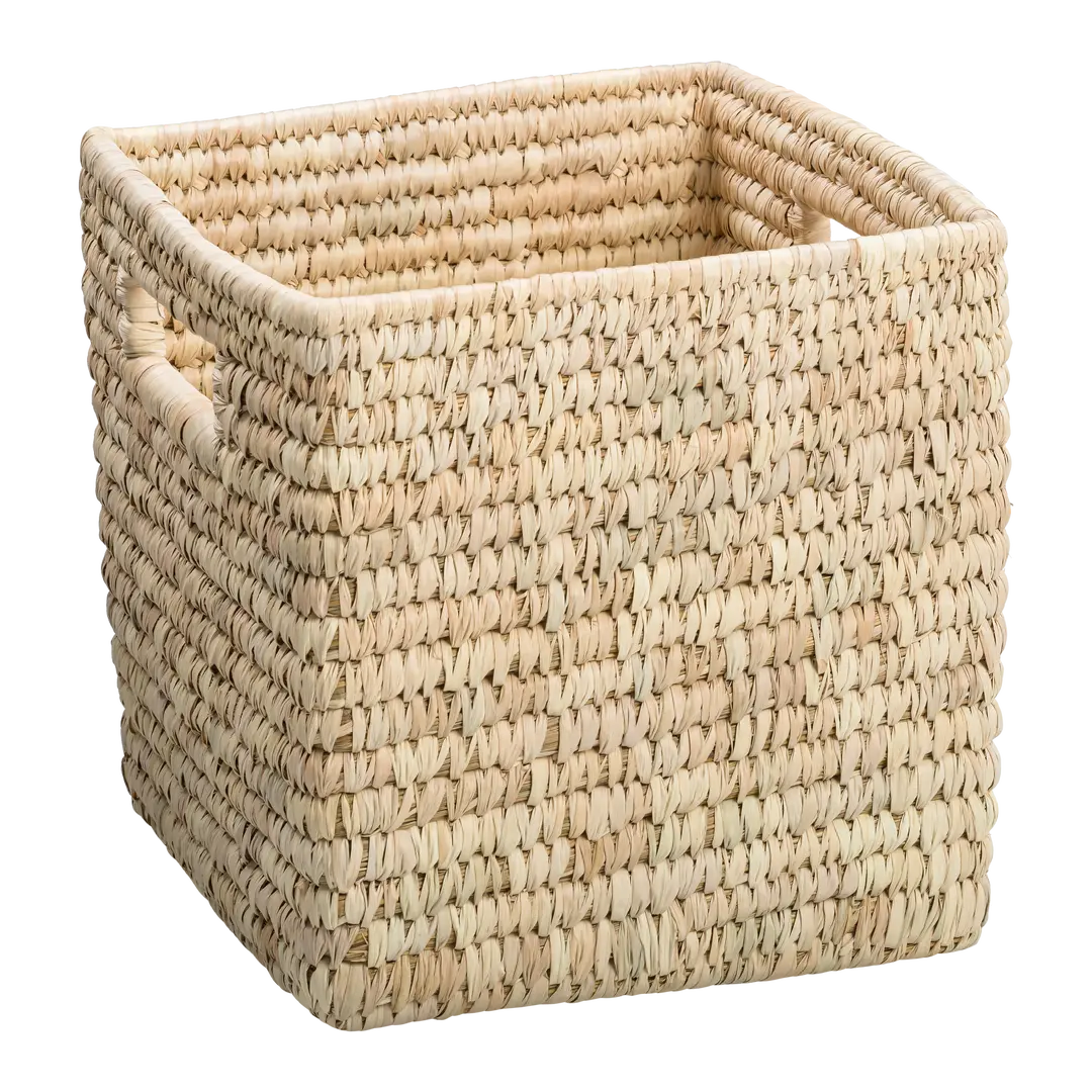 cesto Palm