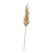ramo decorativo Dried-Grass