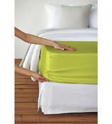 drap-housse Uni Satin
