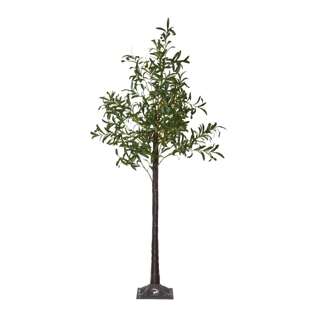 LED-Arbre Olivec