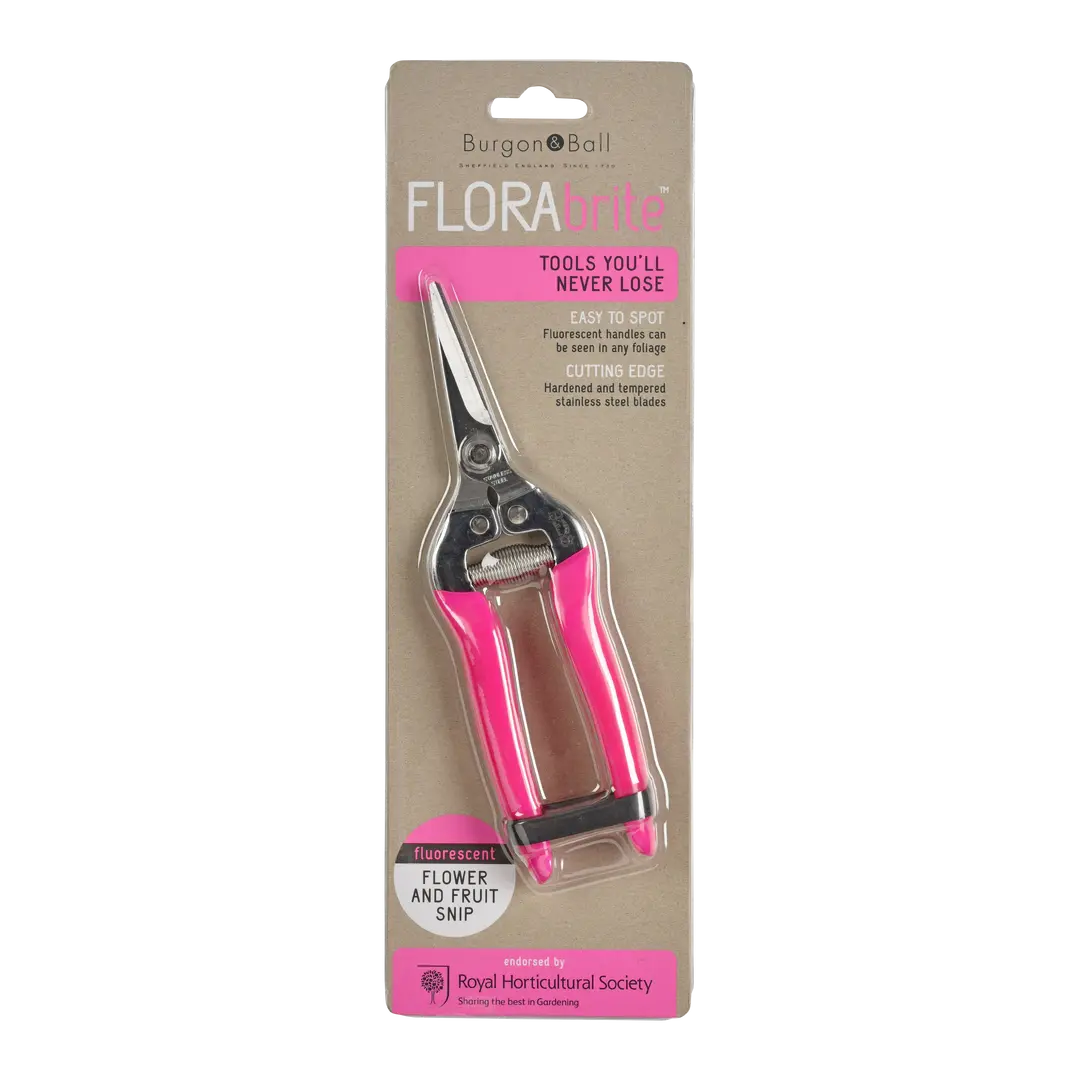 cesoie per fiori Fluoriszierend