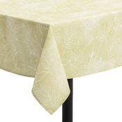 nappe AMADEUS
