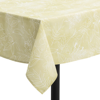 nappe AMADEUS