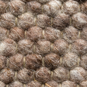 tapis de laine Tohela