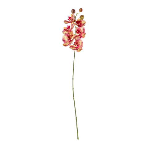 Kunstblume Orchid