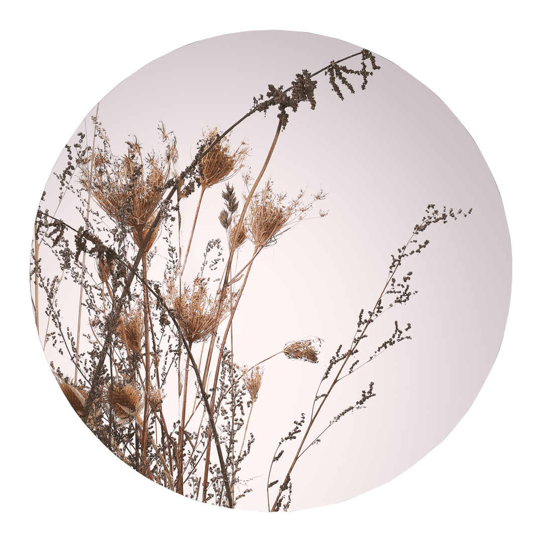 stampa d'arte CIRCLE