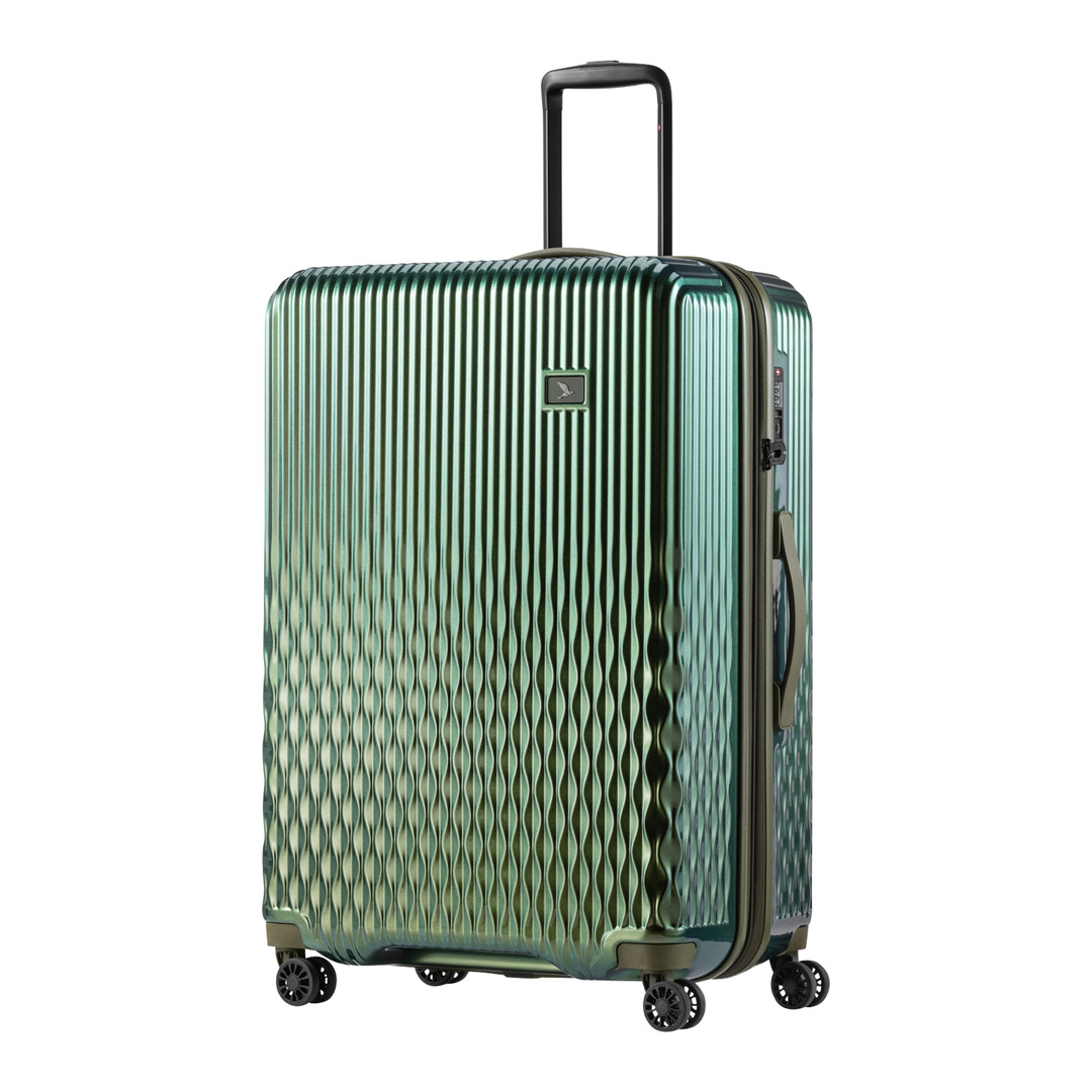 Trolley-Koffer Flow