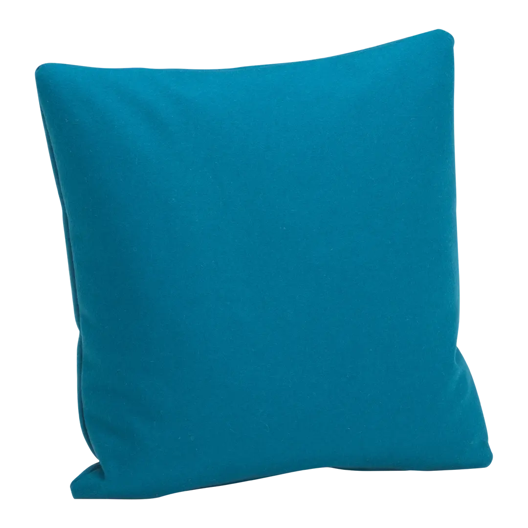 coussin décoratif AXEL