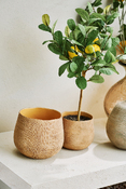 cache-pot Synsia