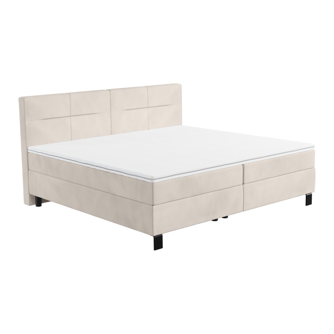 Boxspringbett Famelia