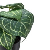 Kunstpflanze Greeny-2525