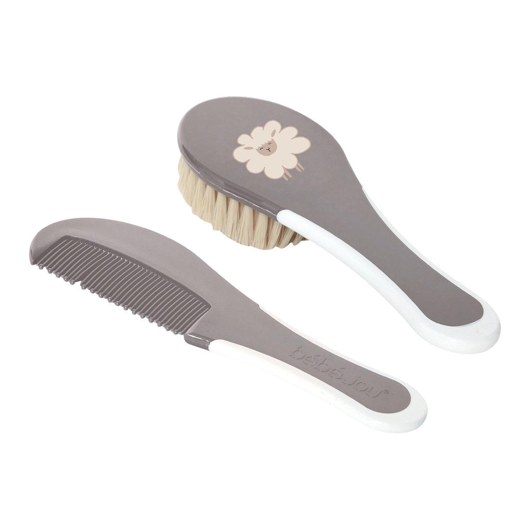 set de brosses Zewi Acc