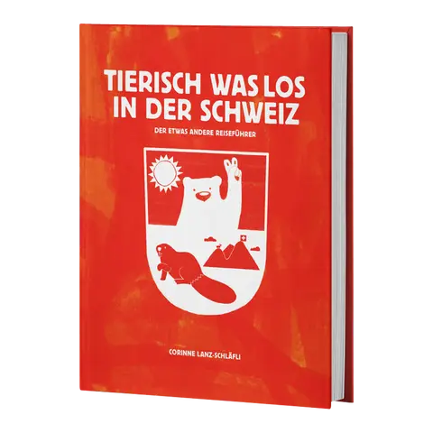 libri regalo BUCH