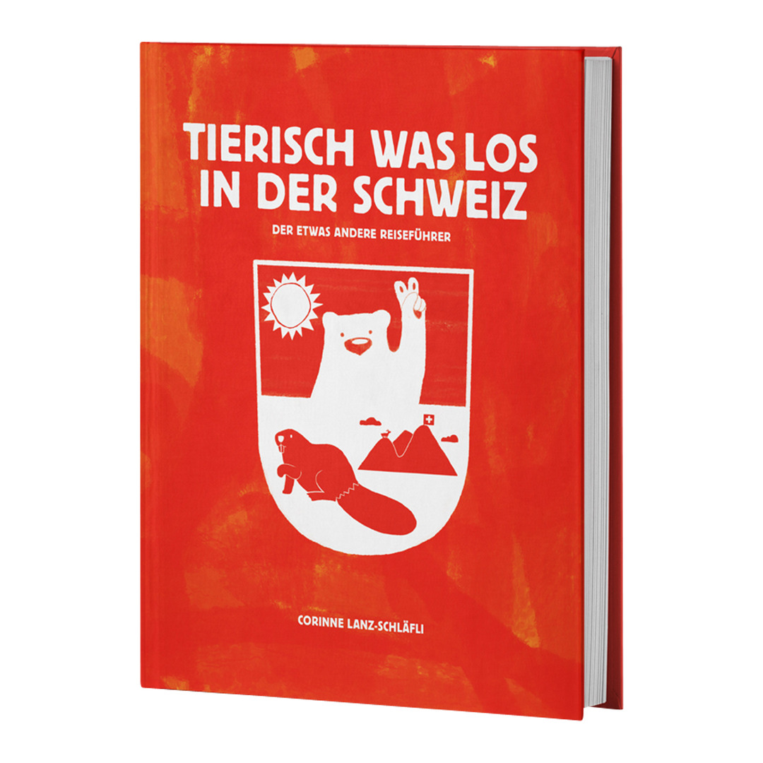 Geschenkbuch Buch