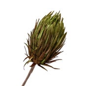 Kunstblume Soft-Flower