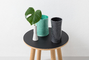 vaso Roches
