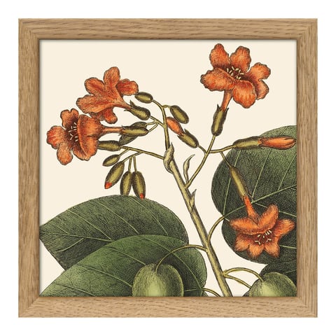Tableau avec cadre BOTANICAL