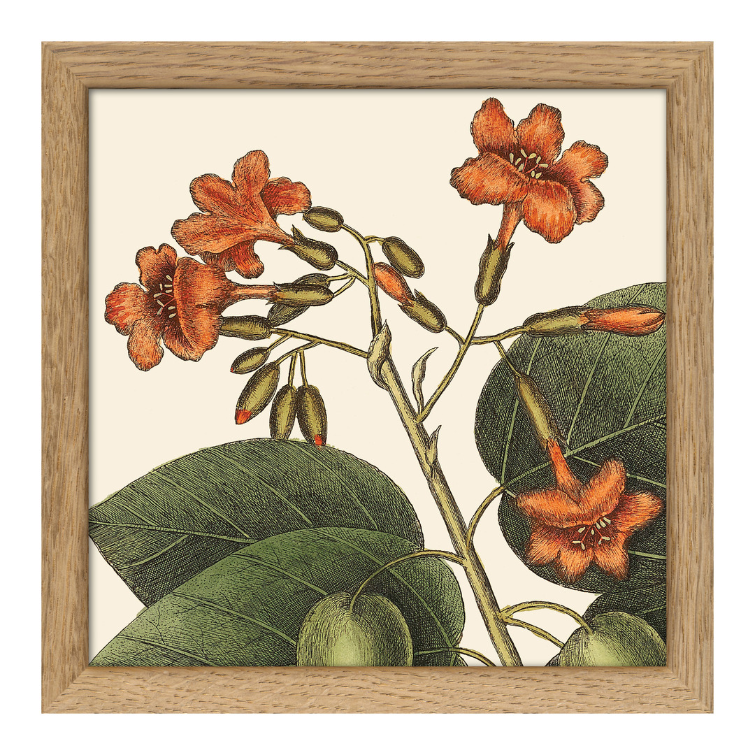 Tableau avec cadre BOTANICAL